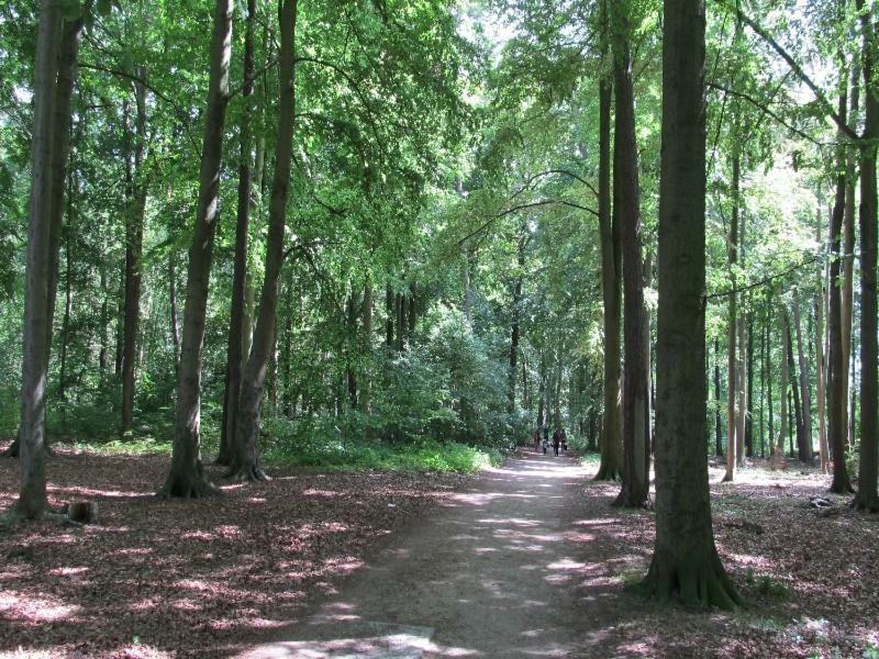 “Haus Am Kuestenwald” Ferienwohnungen 格拉尔-米里茨 外观 照片